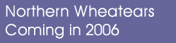 Northern Wheateaters 2005